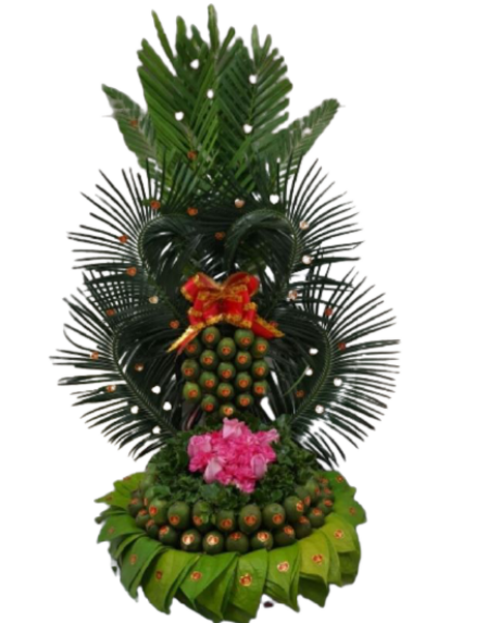 Combo 5-Miễn Phí Vận Chuyển